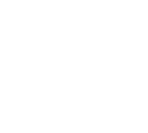 Optional hosting and support image